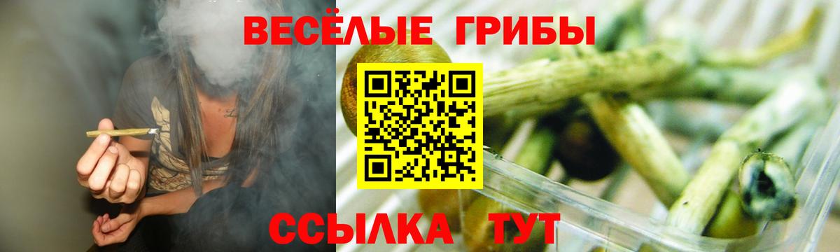 Псилоцибиновые грибы Magic Shrooms Заволжье